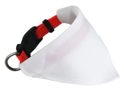 collier-chiens-attache