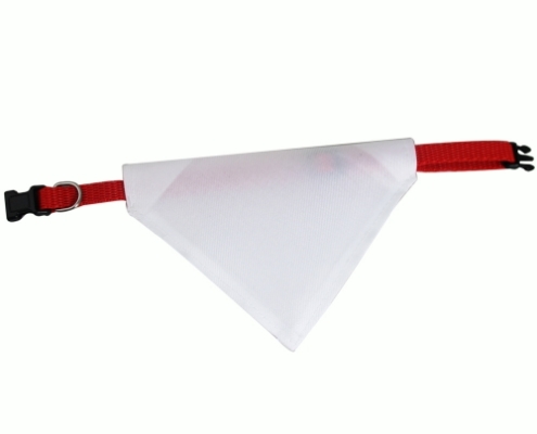 collier-chiens-detache